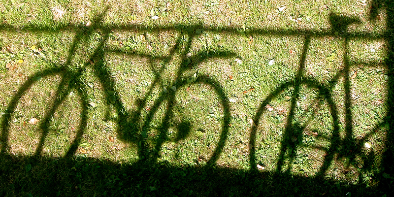 shadows of bikes
